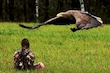 Seeadler